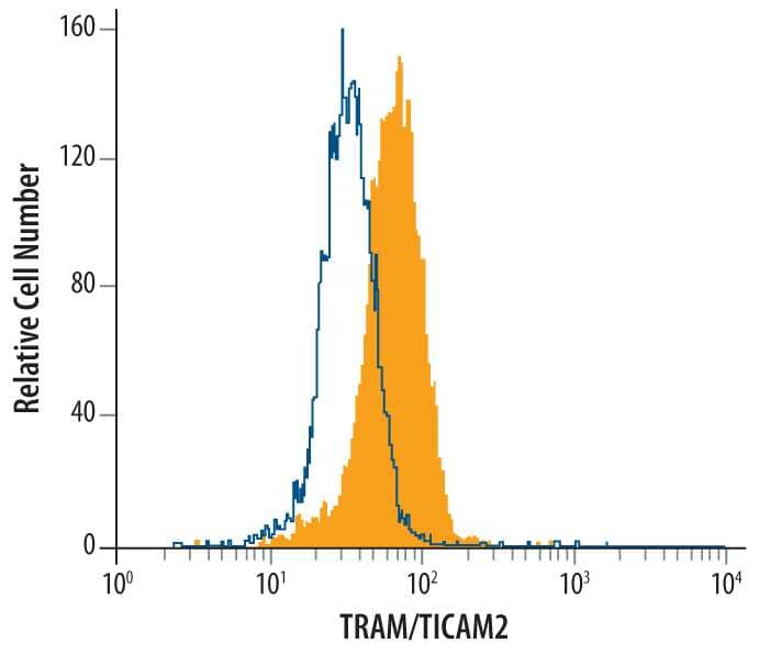 Raji human Burkitt's lymphoma cell line was stained with Human/Mouse/Rat TRAM/TICAM2 Antigen Affinity-purified Polyclonal Antibody (Catalog # AF4348, filled histogram) or isotype control antibody (Catalog # AB-108-C, open histogram), followed by Phycoerythrin-conjugated Anti-Goat IgG Secondary Antibody (Catalog # F0107). To facilitate intracellular staining, cells were fixed with paraformaldehyde and permeabilized with saponin.
