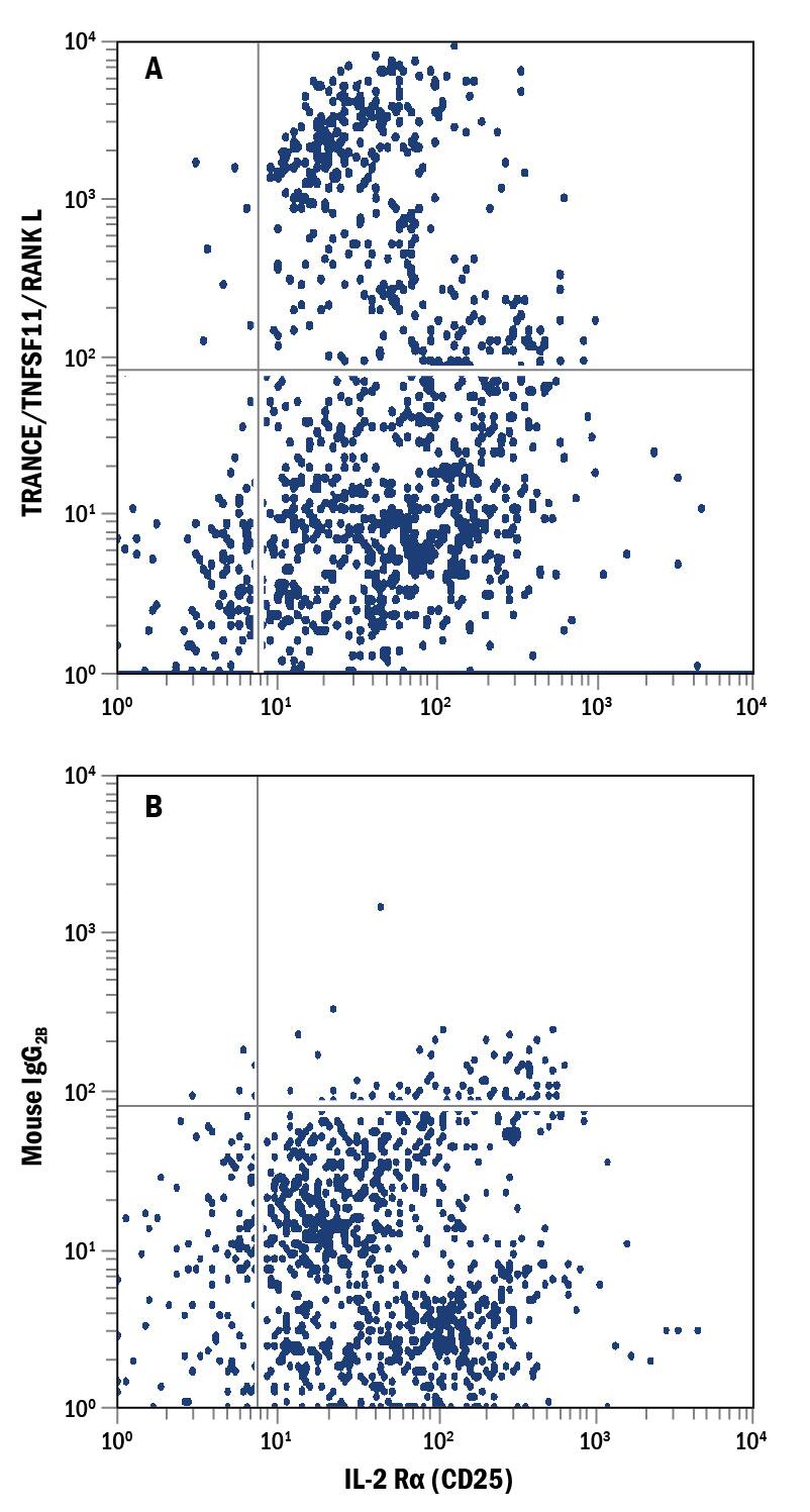 Human peripheral blood mononuclear cells (PBMCs) treated with PHA were stained with Mouse Anti-Human IL-2 Ra APC-conjugated Monoclonal Antibody (Catalog # FAB1020A) and either (A) Mouse Anti-Human TRANCE/TNFSF11/RANK L PE-conjugated Monoclonal Antibody (Catalog # FAB6264P) or (B) Mouse IgG2BPhycoerythrin Isotype Control (Catalog # IC0041P). View our protocol for Staining Membrane-associated Proteins.