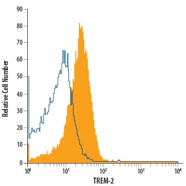 THP-1 human acute monocytic leukemia cell line was stained with Rat Anti-Human/Mouse TREM-2 PE-conjugated Monoclonal Antibody (Catalog # FAB17291P, filled histogram) or isotype control antibody (Catalog # IC013P, open histogram). View our protocol for Staining Membrane-associated Proteins.