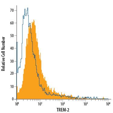 Human mature dendritic cells were stained with Rat Anti-Human/Mouse TREM-2 PE-conjugated Monoclonal Antibody (Catalog # FAB17291P, filled histogram) or isotype control antibody (Catalog # IC013P, open histogram). View our protocol for Staining Membrane-associated Proteins.