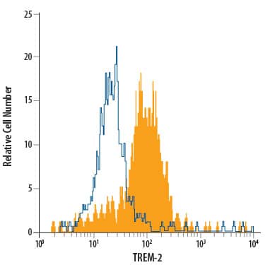 Human peripheral blood monocytes were stained with Rat Anti-Human/Mouse TREM-2 PE-conjugated Monoclonal Antibody (Catalog # FAB17291P, filled histogram) or isotype control antibody (Catalog # IC013P, open histogram). View our protocol for Staining Membrane-associated Proteins.