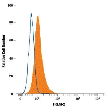 RAW 264.7 mouse monocyte/macrophage cell line was stained with Rat Anti-Human/Mouse TREM-2 Alexa Fluor® 647-conjugated Monoclonal Antibody (Catalog # FAB17291R, filled histogram) or isotype control antibody (Catalog # IC013R, open histogram). View our protocol for Staining Membrane-associated Proteins.