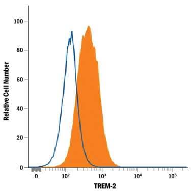 RAW 264.7 mouse monocyte/macrophage cell line was stained with Rat Anti-Human/Mouse TREM-2 Alexa Fluor® 594-conjugated Monoclonal Antibody (Catalog # FAB17291T, filled histogram) or isotype control antibody (Catalog # IC013T, open histogram). View our protocol for Staining Membrane-associated Proteins.