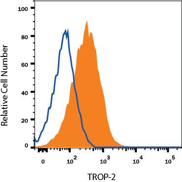 mIMCD-3 mouse epithelial cell line was stained with Goat Anti-Mouse TROP-2 Fluorescein-conjugated Antigen Affinity-purified Polyclonal Antibody (Catalog # FAB1122F, filled histogram) or isotype control antibody (Catalog # IC108F, open histogram). View our protocol for Staining Membrane-associated Proteins.