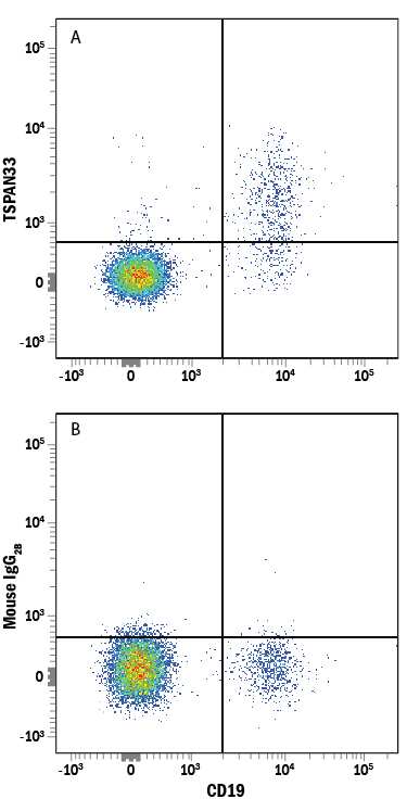 Human peripheral blood mononuclear cells (PBMCs) treated with overnight with Recombinant Human IL-4 (Catalog # 204-IL) and Recombinant Human CD40 Ligand/TNFSF5 (Catalog # 6245-CL) for were stained with Mouse Anti-Human CD19 APC-conjugated Monoclonal Antibody (Catalog # FAB4867A) and either (A) Mouse Anti-Human TSPAN33 PE-conjugated Monoclonal Antibody (Catalog # FAB8405P) or (B) Mouse IgG2BPhycoerythrin Isotype Control (Catalog # IC0041P). View our protocol for Staining Membrane-associated Proteins.