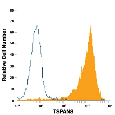 HT-29 human colon adenocarcinoma cell line was stained with Rat Anti-Human TSPAN8 PE-conjugated Monoclonal Antibody (Catalog # FAB4734P, filled histogram) or isotype control antibody (Catalog # IC013P, open histogram). View our protocol for Staining Membrane-associated Proteins.