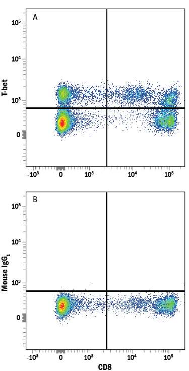 Human peripheral blood mononuclear cells (PBMCs) were stained with Mouse Anti-Human CD8a APC-conjugated Monoclonal Antibody (FAB1509A) and either (A) Mouse Anti-Human T-bet/TBX21 Alexa Fluor® 488-conjugated Monoclonal Antibody (Catalog # IC53851G) or (B) Mouse IgG1Alexa Fluor 488 Isotype Control (IC002G). To facilitate intracellular staining, cells were fixed and permeabilized with FlowX FoxP3 Fixation & Permeabilization Buffer Kit (FC012). View our protocol for Staining Intracellular Molecules.