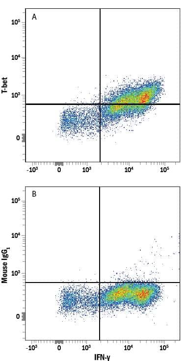 CD4+Human peripheral blood mononuclear cells (PBMCs) treated with 20 ng/mL Anti-Human IL-4 Polyclonal Antibody (AB-204-NA) and 10 ng/mL Recombinant Human IL-12 (219-IL) for 5 days to induce Th1 cell development for were stained with Mouse Anti-Human IFN-gamma PE-conjugated Monoclonal Antibody (IC285P) and either (A) Mouse Anti-Human T-bet/TBX21 Alexa Fluor® 488-conjugated Monoclonal Antibody (Catalog # IC53851G) or (B) Mouse IgG1Alexa Fluor 488 Isotype Control (Catalog # IC002G). To facilitate intracellular staining, cells were fixed and permeabilized with FlowX FoxP3 Fixation & Permeabilization Buffer Kit (FC012). View our protocol for Staining Intracellular Molecules.