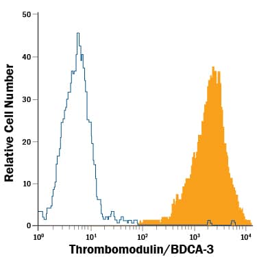 bEnd.3 mouse endothelioma cell line was stained with Rat Anti-Mouse Thrombomodulin/BDCA-3 PE-conjugated Monoclonal Antibody (Catalog # FAB3894P, filled histogram) or isotype control antibody (Catalog # IC013P, open histogram). View our protocol for Staining Membrane-associated Proteins.