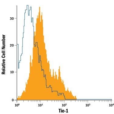 Human umbilical vein endothelial cells were stained with Goat Anti-Human Tie-1 PE-conjugated Antigen Affinity-purified Polyclonal Antibody (Catalog # FAB619P, filled histogram) or isotype control antibody (Catalog # IC108P, open histogram). View our protocol for Staining Membrane-associated Proteins.