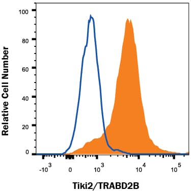 HEK293 human embryonic kidney cell line transfected with either human Tiki2/ TRABD2B (filled histogram) or irrelevant transfectants (open histogram) was stained with Sheep Anti-Human Tiki2/TRABD2B Antigen Affinity-purified Polyclonal Antibody (Catalog # AF1600), followed by Allophycocyanin-conjugated Anti-Sheep IgG Secondary Antibody (Catalog # F0127). View our protocol for Staining Membrane-associated Proteins.