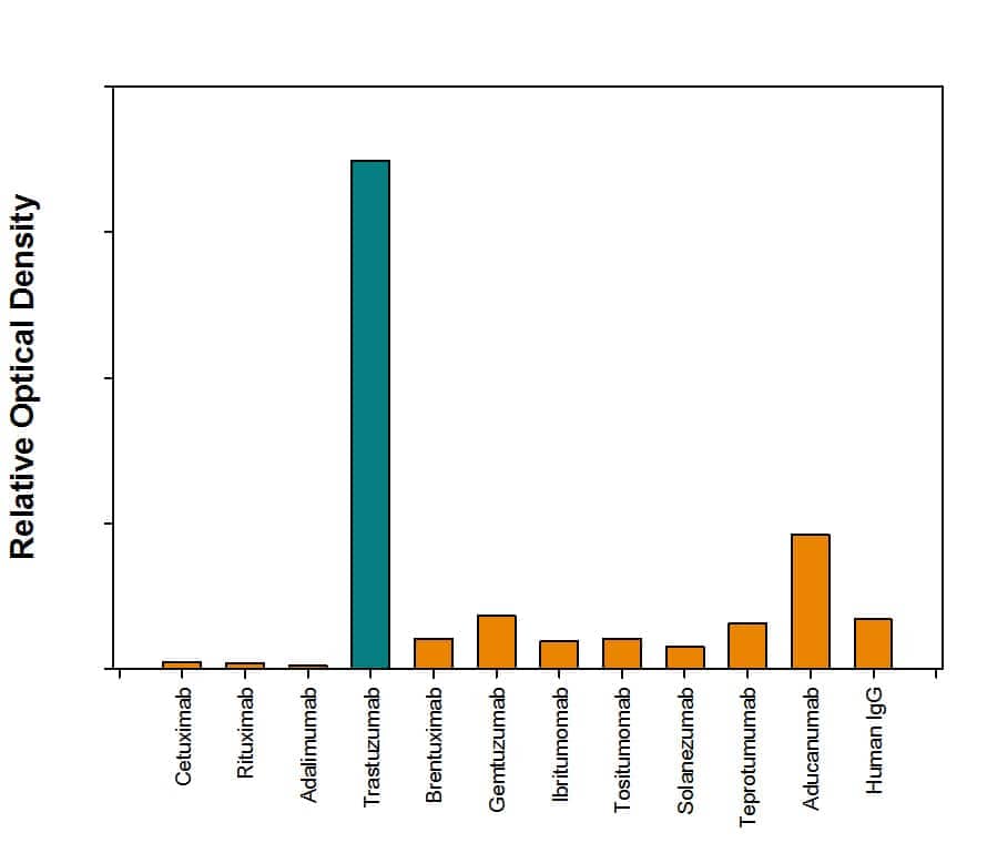  A panel of biosimilars was coated at 1 μg/mL in 96-well polystyrene plates. Anti-Trastuzumab (Anti-Idiotype) Antibody (Catalog # MAB9547, 333 ng/mL) detected Trastuzumab. No cross-reactivity with Cetuximab, Ibritumomab, Rituximab, Adalimumab, Tositumomab, Brentuximab, Gemtuzumab, Solanezumab, Teprotumumab, and Aducanumab was observed.