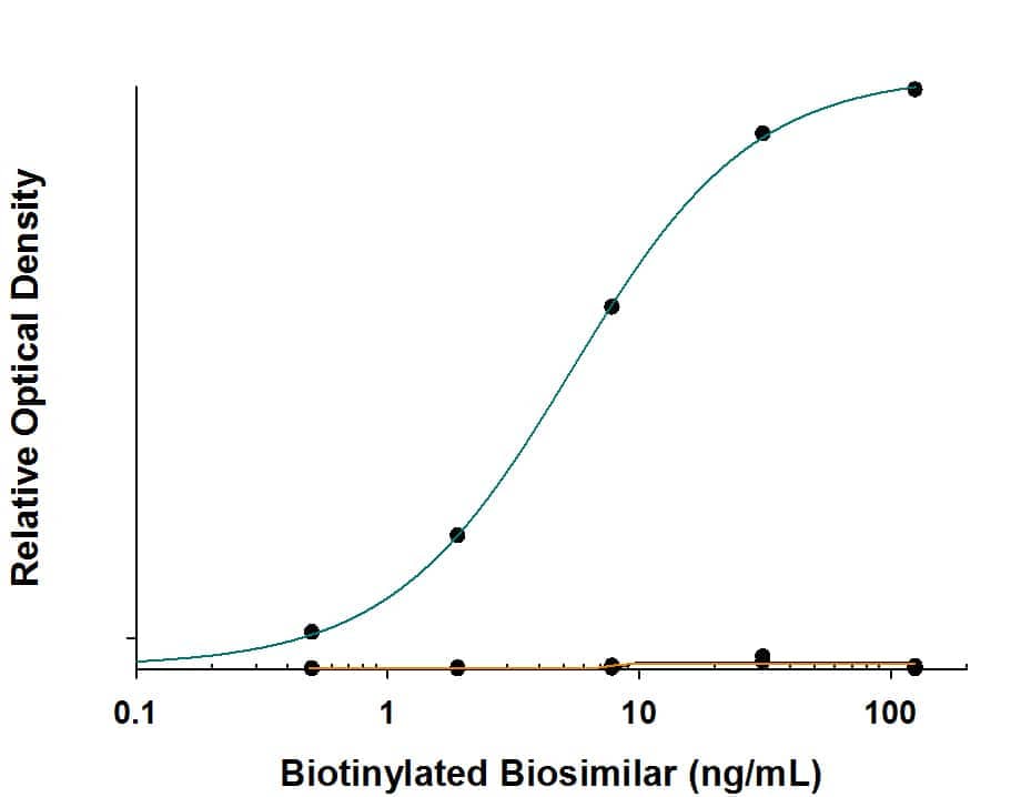 Biotinylated biosimilars were serially diluted and incubated with Anti-Trastuzumab (Anti-Idiotype) Antibody (Catalog # MAB9547, green line) coated at 1  μg/mL on a 96-well polystyrene plate. No cross-reactivity with Adalimumab (black line) or Gemtuzumab (orange line) was observed.