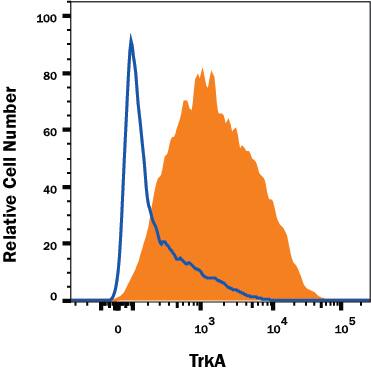 K562 human chronic myelogenous leukemia cell line was stained with Mouse Anti-Human TrkA PE-conjugated Monoclonal Antibody (Catalog # FAB1751RP, filled histogram) or isotype control antibody (Catalog # IC002P, open histogram). View our protocol for Staining Membrane-associated Proteins.