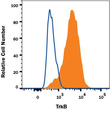 C6 cell line transfected with human TrkB was stained with Mouse Anti-Human TrkB Alexa Fluor® 488-conjugated Monoclonal Antibody (Catalog # FAB3971G, filled histogram) or isotype control antibody (IC002G, open histogram). View our protocol for Staining Membrane-associated Proteins.