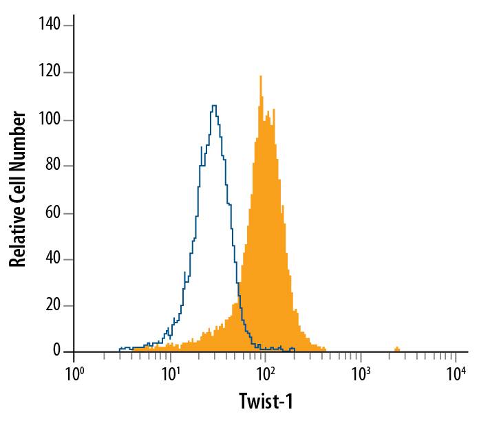 HeLa human cervical epithelial carcinoma cell line was stained with Sheep Anti-Human Twist-1 Fluorescein-conjugated Antigen Affinity-purified Polyclonal Antibody (Catalog # IC6230F, filled histogram) or isotype control antibody (Catalog # IC016F, open histogram). To facilitate intracellular staining, cells were fixed with Flow Cytometry Fixation Buffer (Catalog # FC004) and permeabilized with Flow Cytometry Permeabilization/Wash Buffer I (Catalog # FC005). View our protocol for Staining Intracellular Molecules.
