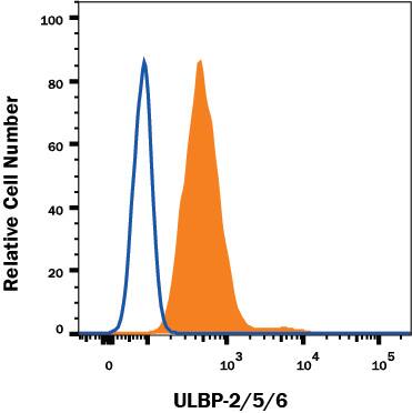 HT1080 human fibrosarcoma cell line was stained with Mouse Anti-Human ULBP-2/5/6 Alexa Fluor® 488-conjugated Monoclonal Antibody (Catalog # FAB1298G, filled histogram) or isotype control antibody (Catalog # IC003G, open histogram). View our protocol for Staining Membrane-associated Proteins.
