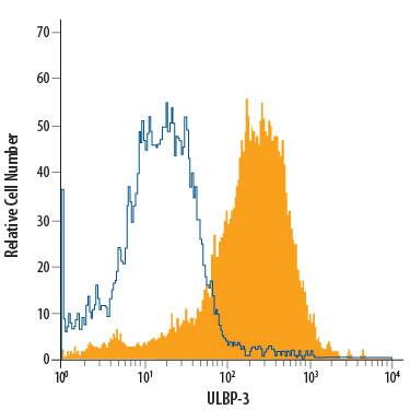 BaF3 mouse pro-B cell line transfected with human ULBP-3 was stained with Mouse Anti-Human ULBP-3 PE-conjugated Monoclonal Antibody (Catalog # FAB1517P, filled histogram) or isotype control antibody (IC003P, open histogram). View our protocol for Staining Membrane-associated Proteins.