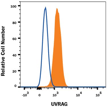 Daudi human Burkitt's lymphoma cell line was stained with Mouse Anti-Human UVRAG Alexa Fluor® 647-conjugated Monoclonal Antibody (Catalog # IC9180R, filled histogram) or isotype control antibody (Catalog # IC002R, open histogram). To facilitate intracellular staining, cells were fixed with Flow Cytometry Fixation Buffer (Catalog # FC004) and permeabilized with Flow Cytometry Permeabilization/Wash Buffer I (Catalog # FC005). View our protocol for Staining Intracellular Molecules.