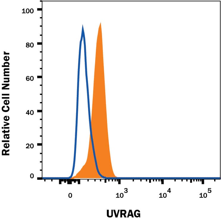 Raji human Burkitt's lymphoma cell line was stained with Mouse Anti-Human UVRAG Monoclonal Antibody (Catalog # MAB9180, filled histogram) or isotype control antibody (Catalog # MAB002, open histogram), followed by Phycoerythrin-conjugated Anti-Mouse IgG Secondary Antibody (Catalog # F0102B). To facilitate intracellular staining, cells were fixed with Flow Cytometry Fixation Buffer (Catalog # FC004) and permeabilized with Flow Cytometry Permeabilization/Wash Buffer I (Catalog # FC005). View our protocol for Staining Intracellular Molecules.