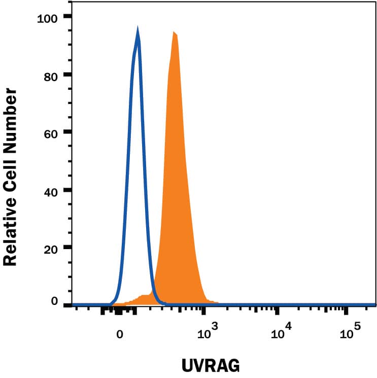 Daudi human Burkitt's lymphoma cell line was stained with Mouse Anti-Human UVRAG Monoclonal Antibody (Catalog # MAB9180, filled histogram) or isotype control antibody (Catalog # MAB002, open histogram), followed by Phycoerythrin-conjugated Anti-Mouse IgG Secondary Antibody (Catalog # F0102B). To facilitate intracellular staining, cells were fixed with Flow Cytometry Fixation Buffer (Catalog # FC004) and permeabilized with Flow Cytometry Permeabilization/Wash Buffer I (Catalog # FC005). View our protocol for Staining Intracellular Molecules.