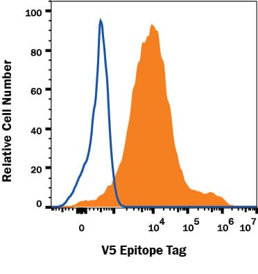 HEK293 human embryonic kidney cell line transfected with V5-tagged proteins was stained with Rabbit Anti-V5 Epitope Tag Alexa Fluor® 647-conjugated Monoclonal Antibody (Catalog # FAB8926R, filled histogram) or isotype control antibody (Catalog # IC1051R, open histogram). View our protocol for Staining Membrane-associated Proteins.