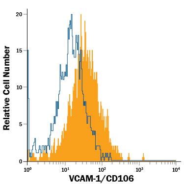 bEnd.3 mouse endothelioma cell line was stained with Rat Anti-Mouse VCAM-1/CD106 Alexa Fluor® 700-conjugated Monoclonal Antibody (Catalog # FAB6432N, filled histogram) or isotype control antibody (IC006N, open histogram). View our protocol for Staining Membrane-associated Proteins.