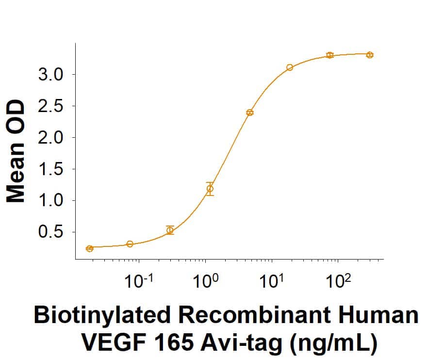 When     Recombinant  Human VEGFR1/Flt-1 Fc Chimera     (Catalog #  321-FL)  is immobilized at 1 µg/mL, Biotinylated Recombinant Human VEGF 165Avi-tag (Catlaog # AVI293) binds with an ED50 of 0.6-3.6 ng/mL.