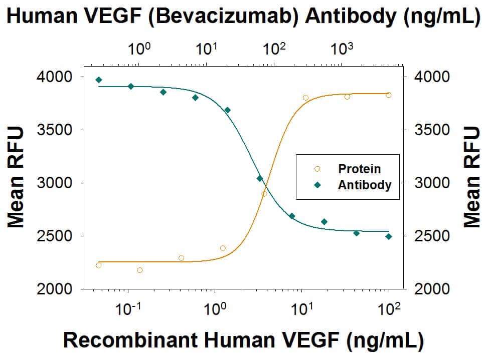 Recombinant Human VEGF165 (Catalog # 293-VE) stimulates proliferation in HUVEC human umbilical vein endothelial cells in a dose-dependent manner (orange line) as measured by Resazurin (Catalog # AR002). Proliferation elicited by Recombinant Human VEGF165 (10 ng/mL) is neutralized (green line) by increasing concentrations of Human Anti-Human VEGF (Bevacizumab Biosimilar) Monoclonal Antibody (Catalog # MAB9947). The ND50 is typically 10-80 ng/mL.