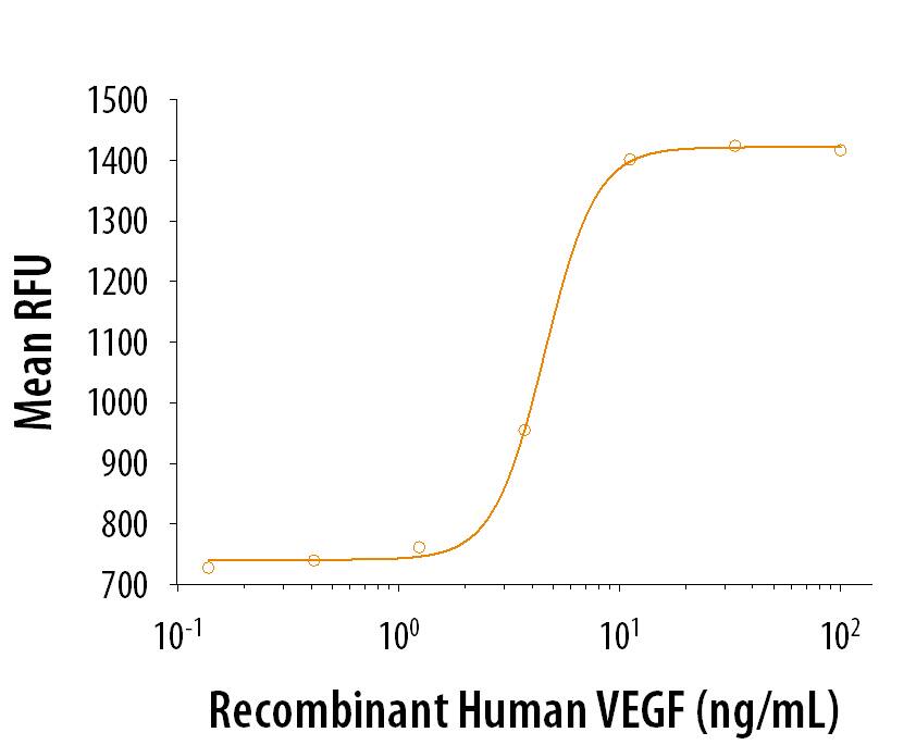 ProDots® VEGF165 stimulates proliferation in HUVEC human umbilical endothelial cells. The ED50 is 1.0-6.0 ng/mL.