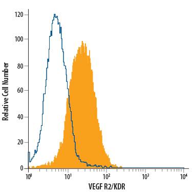 HUVEC human umbilical vein endothelial cells were stained with Mouse Anti-Human VEGF R2/KDR/Flk-1 PerCP-conjugated Mono-clonal Antibody (Catalog # FAB357C, filled histogram) or isotype control antibody (Catalog # IC002C, open histogram). View our protocol for Staining Membrane-associated Proteins.