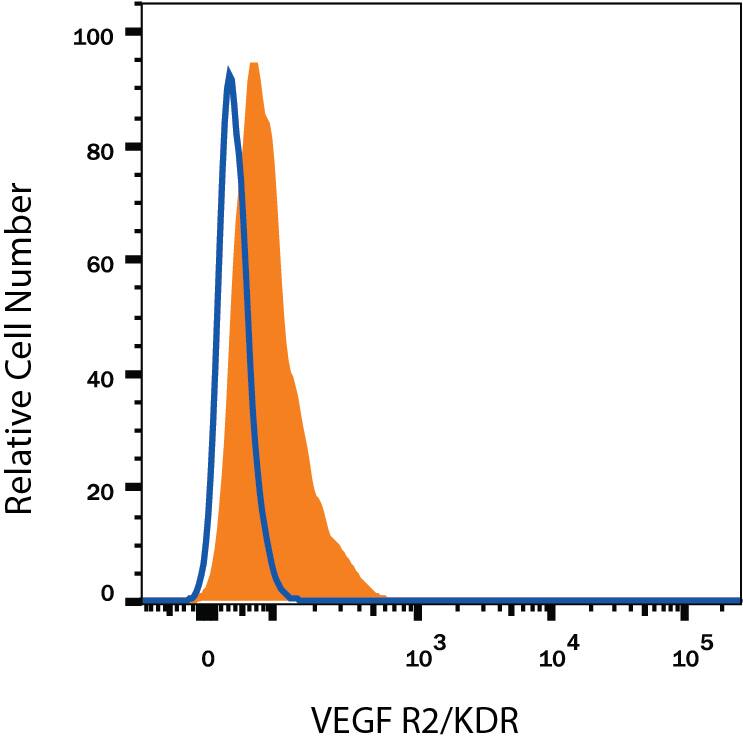 HUVEC human umbilical vein endothelial cells were stained with Mouse Anti-Human VEGF R2/KDR/Flk-1 Fluorescein-conjugated Monoclonal Antibody (Catalog # FAB357F, filled histogram) or isotype control antibody (Catalog # IC002F, open histogram). View our protocol for Staining Membrane-associated Proteins.