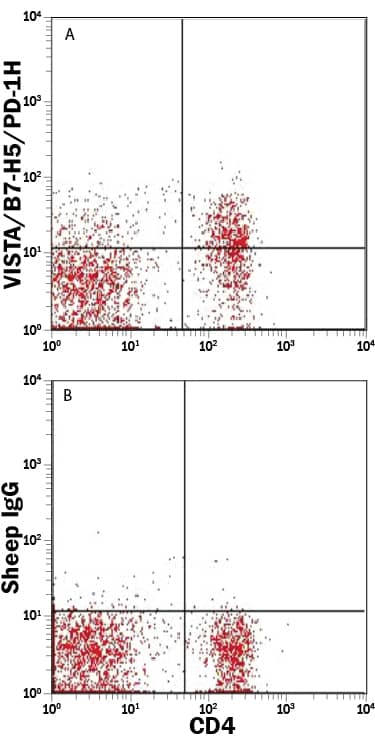 Mouse splenocytes were stained with Rat Anti-Mouse CD4 PE-conjugated Monoclonal Antibody (Catalog # FAB554P) and either (A) Sheep Anti-Mouse VISTA/B7-H5/PD-1H APC-conjugated Antigen Affinity-purified Polyclonal Antibody (Catalog # FAB7005A) or (B) Normal Sheep IgG Allophycocyanin Control (Catalog # IC016A). View our protocol for Staining Membrane-associated Proteins.