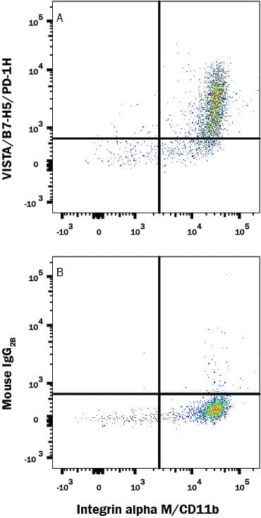 Human peripheral blood mononuclear cells (PBMCs) were stained with (A) Mouse Anti-Human VISTA/B7-H5/PD-1H Monoclonal Antibody (Catalog # MAB71261R) or (B) Mouse IgG2B Isotype Control (Catalog # MAB0041) followed by Allophycocyanin-conjugated Anti-Mouse IgG Secondary Antibody (Catalog # F0101B) and Mouse Anti-Human Integrin alpha M/CD11b PE-conjugated Monoclonal Antibody (Catalog # FAB16991P). View our protocol for Staining Membrane-associated Proteins.