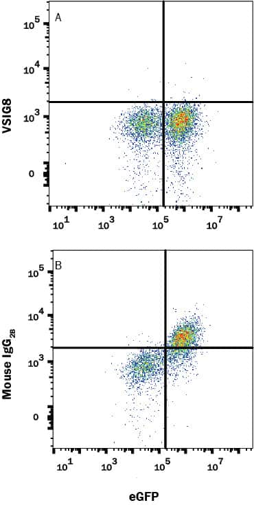 Blockade of Receptor-ligand Interaction VSIG8 Antibody (961829) [Unconjugated]