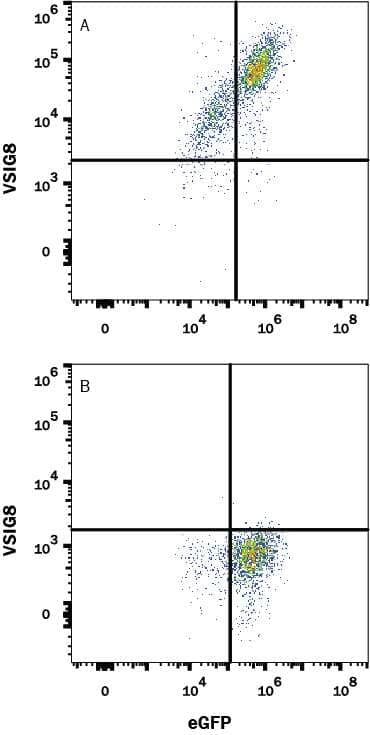Flow Cytometry VSIG8 Antibody (961829) [Unconjugated]