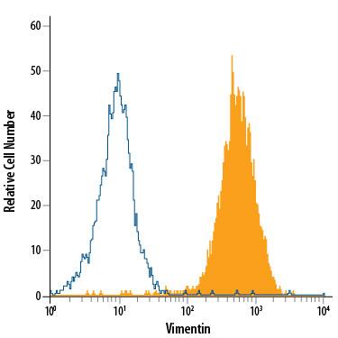 A172 human glioblastoma cell line was stained with Rat Anti-Human/Mouse/Rat Vimentin APC-conjugated Monoclonal Antibody (Catalog # IC2105A, filled histogram) or isotype control antibody (Catalog # IC006A, open histogram). To facilitate intracellular staining, cells were fixed with Flow Cytometry Fixation Buffer (Catalog # FC004) and permeabilized with Flow Cytometry Permeabilization/Wash Buffer I (Catalog # FC005). View our protocol for Staining Intracellular Molecules.