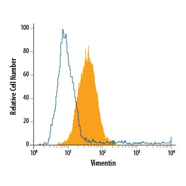 A172 human glioblastoma cell line was stained with Rat Anti-Human/Mouse/Rat Vimentin PE-conjugated Monoclonal Antibody (Catalog # IC2105P, filled histogram) or isotype control antibody (Catalog # IC006P, open histogram). To facilitate intracellular staining, cells were fixed with Flow Cytometry Fixation Buffer (Catalog # FC004) and permeabilized with Flow Cytometry Permeabilization/Wash Buffer I (Catalog # FC005). View our protocol for Staining Intracellular Molecules.