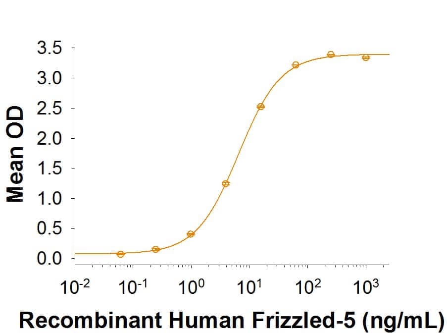 Binding Activity Wnt-5a [Unconjugated]