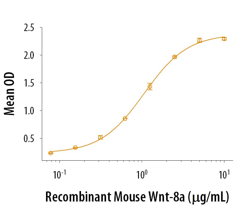 Recombinant Mouse Wnt-8a stimulates alkaline phosphatase production by C3H10T1/2 mouse embryonic fibroblast cells. The ED50 for this effect is 0.5-2.5 μg/mL.