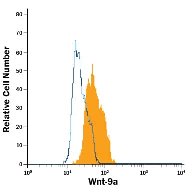 MCF-7 human breast cancer cell line was stained with Mouse Anti-Human Wnt-9a Alexa Fluor® 488-conjugated Monoclonal Antibody (Catalog # IC3157G, filled histogram) or isotype control antibody (Catalog # IC002G, open histogram).To facilitate intracellular staining, cells were fixed with Flow Cytometry Fixation Buffer (Catalog # FC004) and permeabilized with Flow Cytometry Permeabilization/Wash Buffer I (Catalog # FC005). View our protocol for Staining Intracellular Molecules.