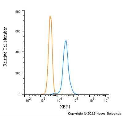 Flow Cytometry XBP1 Antibody - BSA Free