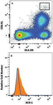 Human peripheral blood monocytes were stained with (A) Mouse Anti-Human HLA-DR Phycoerythrin-Conjugated Monoclonal Antibody (Catalog # FAB4869P), Mouse Anti-Human Thrombomodulin/BDCA-3 (CD141) APC-Conjugated Monoclonal Antibody (Catalog # FAB3947A) and (B) Rabbit Anti-Human XCR1 Alexa Fluor® 488-conjugated Monoclonal Antibody (Catalog # FAB8571G, filled histogram) or isotype control antibody (Catalog # IC105G, open histogram). View our protocol for Staining Membrane-associated Proteins.