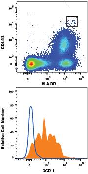 Human peripheral blood monocytes were stained with (A) Mouse Anti-Human HLA-DR Fluorescein-Conjugated Monoclonal Antibody (Catalog # FAB4869F), Mouse Anti-Human Thrombomodulin/BDCA-3 (CD141) APC-Conjugated Monoclonal Antibody (Catalog # FAB3947A) and (B) Rabbit Anti-Human XCR1 PE-conjugated Monoclonal Antibody (Catalog # FAB8571P, filled histogram) or isotype control antibody (Catalog # IC105P, open histogram). View our protocol for Staining Membrane-associated Proteins.