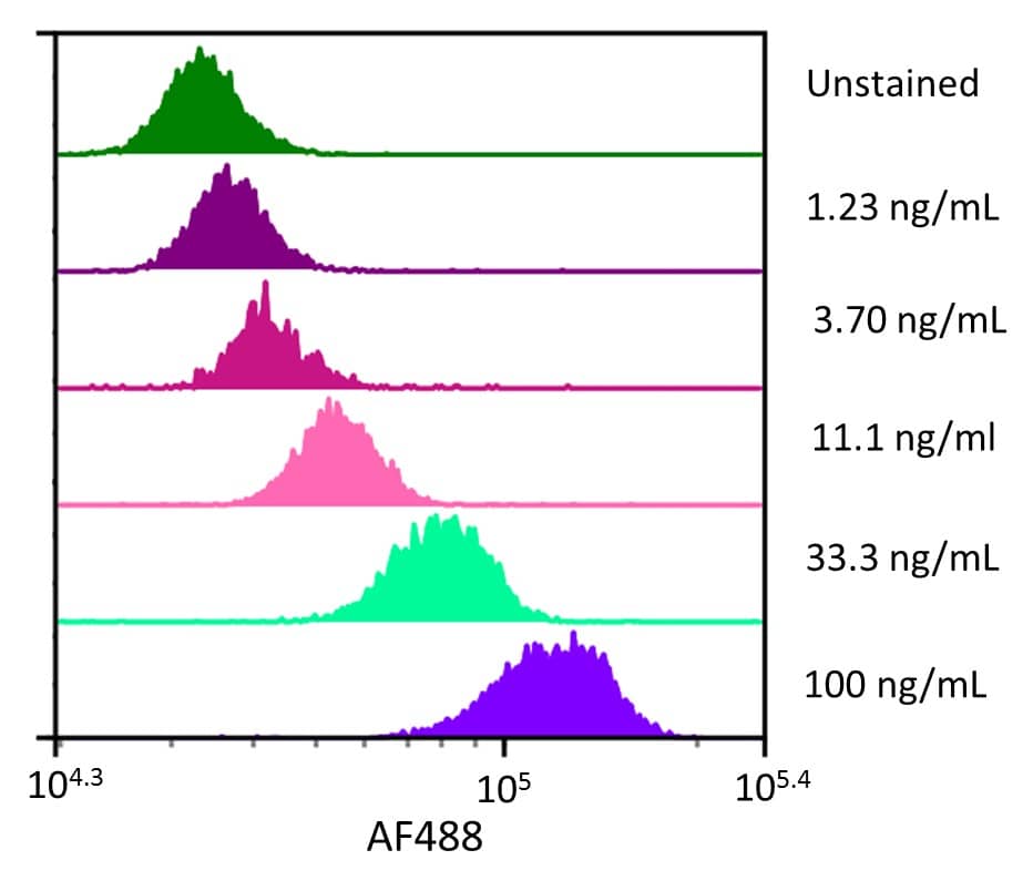 Streptavidin coated beads conjugated to biotinylated anti-human CD300e/LMIR6 Monoclonal Antibody were stained with the indicated concentrations of Recombinant Human CD300e/LMIR6 Fc Chimera Alexa Fluor® 488 (Catalog # AFG10479).