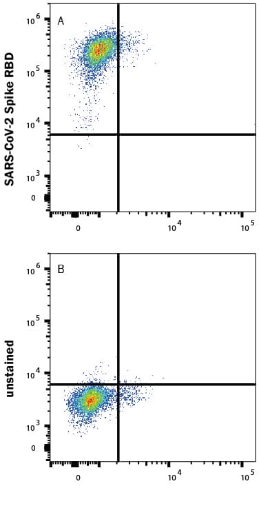 HEK293 human embryonic kidney cells transfected with human ACE-2 were stained with (A) 1 µg/mL (100 µL/well) Recombinant SARS-CoV-2 Spike RBD His-tag Alexa Fluor® 488 Protein (Catalog # AFG10500) or (B) unstained.