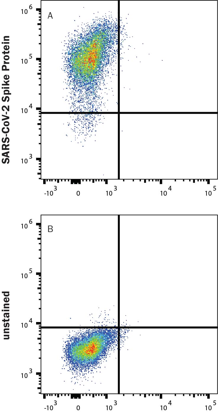 HEK293 human embryonic kidney cells transfected with human ACE-2 were stained with (A) 1 µg/mL (100 µL/well) Recombinant SARS-CoV-2 B.1.351 Spike (GCN4-IZ) His-tag Alexa Fluor® 488 (Catalog # AFG10786) or (B) unstained.