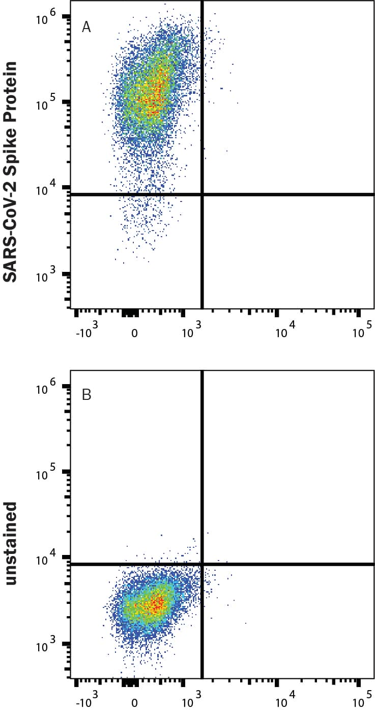 HEK293 human embryonic kidney cells transfected with human ACE-2 were stained with (A) 1 µg/mL (100 µL/well) Recombinant SARS-CoV-2 B.1.1.7 Spike (GCN4-IZ) His-tag Alexa Fluor® 488 Protein (Catalog # AFG10796) or (B) unstained.