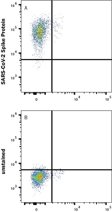 HEK293 human embryonic kidney cells transfected with human ACE-2 were stained with (A) 1 µg/mL (100 µL/well) Recombinant SARS-CoV-2 B.1.617.1 Spike (GCN4-IZ) His-tag Alexa Fluor® 488 Protein (Catalog # AFG10861) or (B) unstained.
