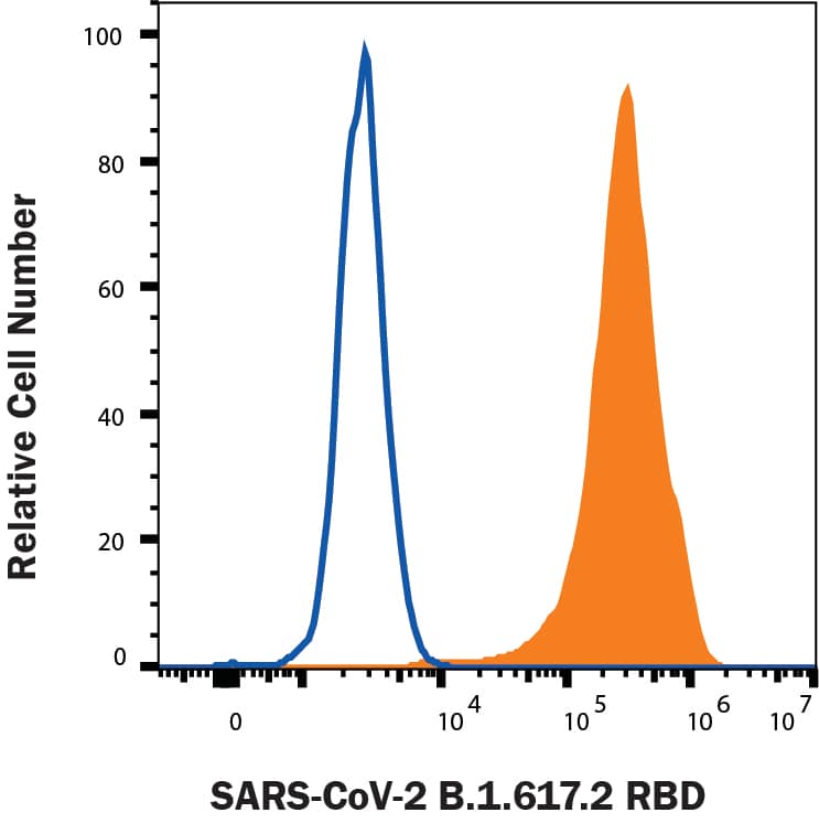 HEK293 human embryonic kidney cells transfected with human ACE-2 were stained with (A) Recombinant SARS-CoV-2 B.1.617.2 Spike RBD His-tag Alexa Fluor® 488 (Catalog # AFG10876, filled histogram) or (B) unstained (open histogram).